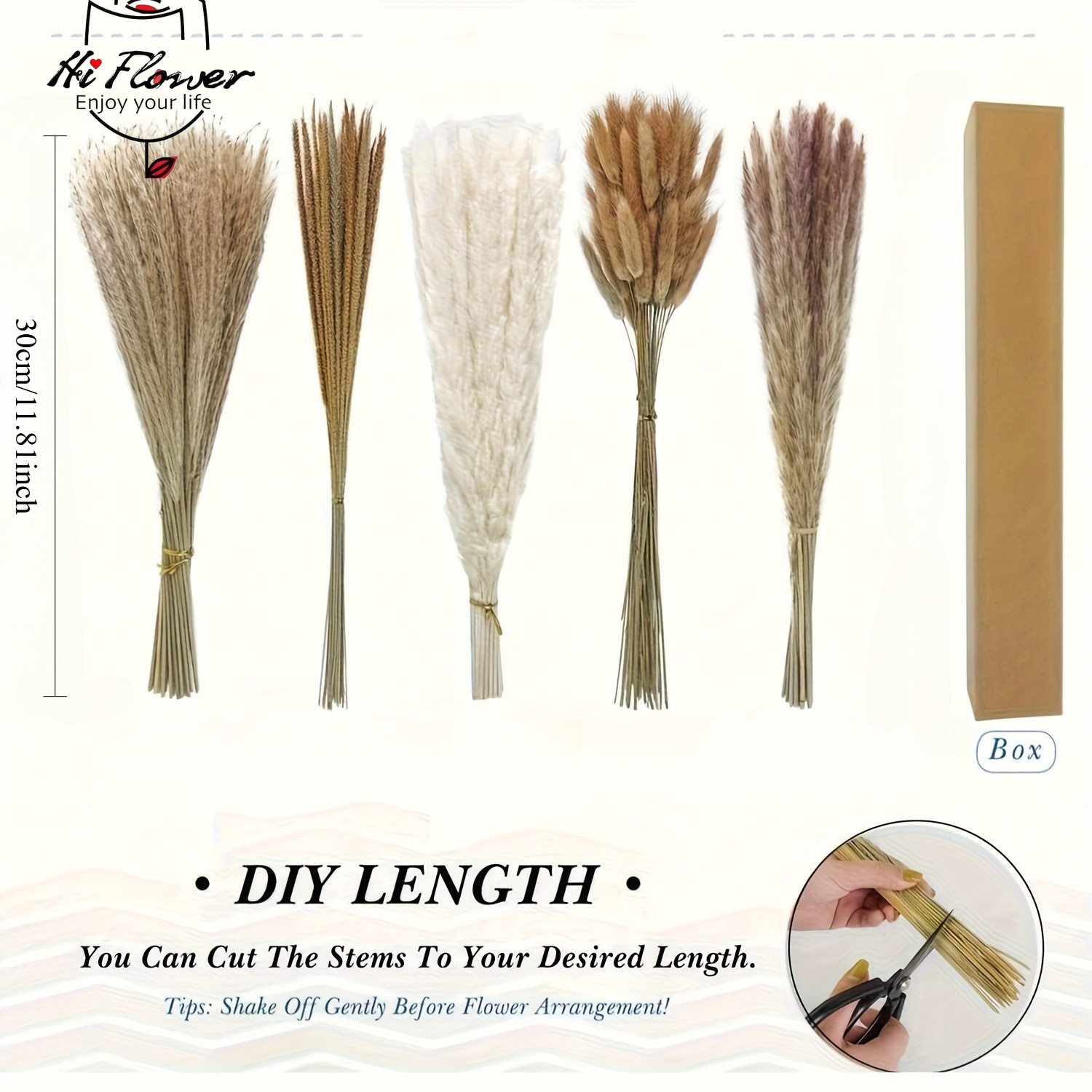 Natural Dried Pampas Grass Bou - đánh giá và giá Pampas Grass Decor